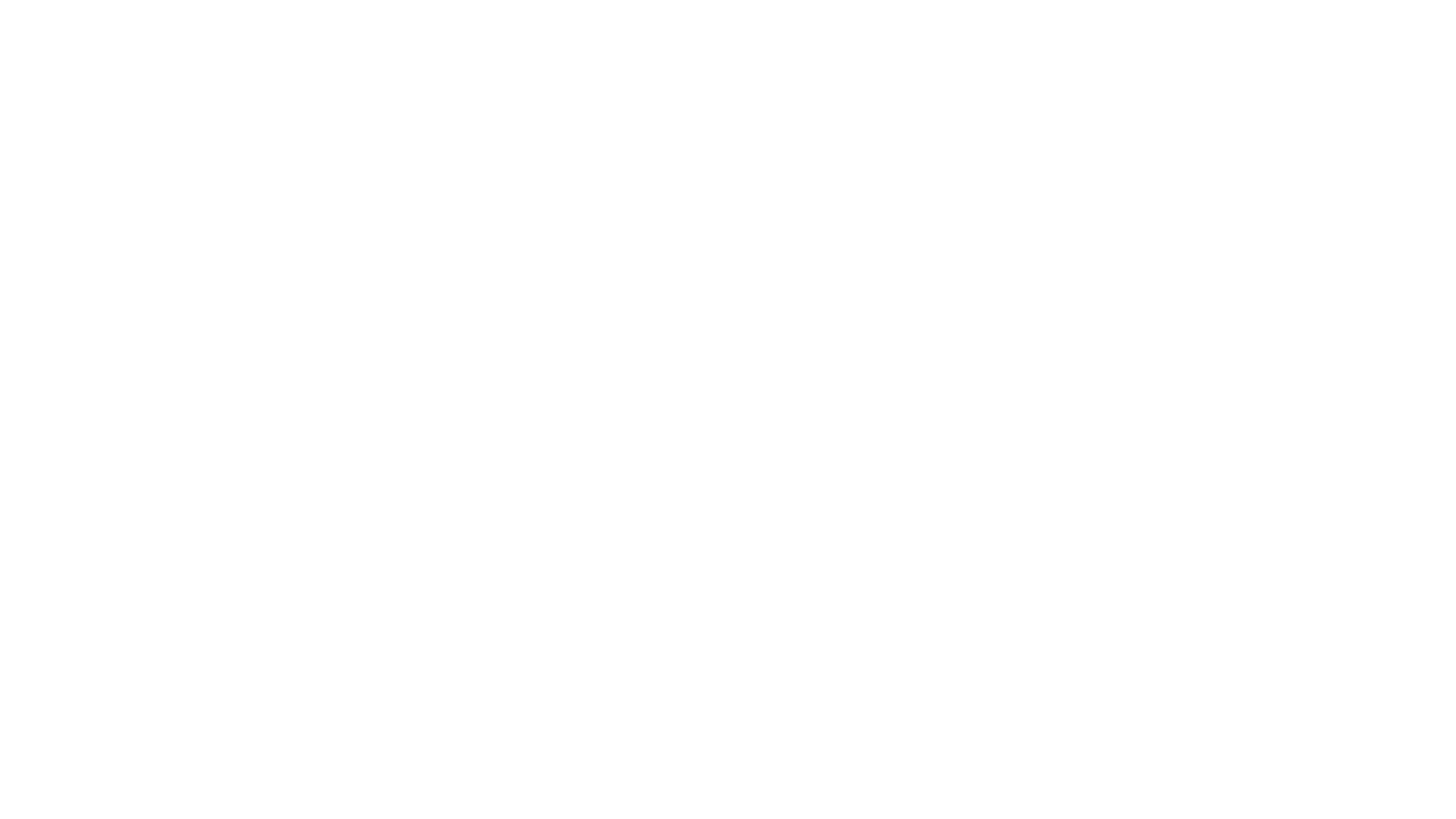 STC Logo png RGB_bel